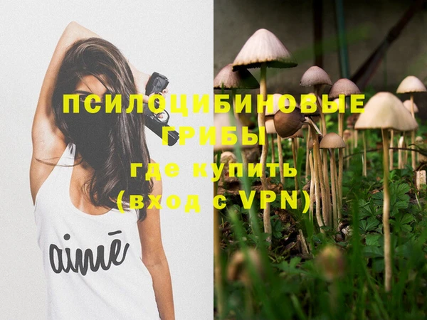прущий лед Абаза